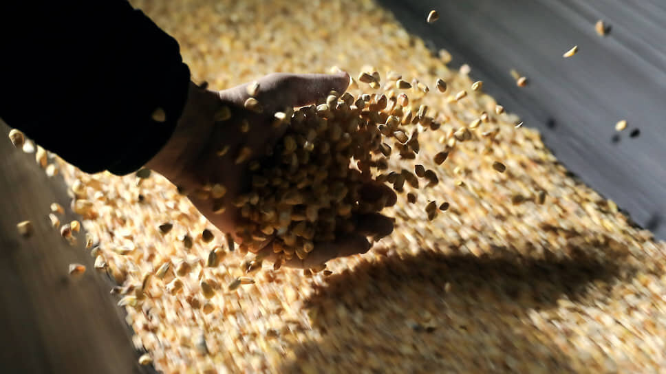 Фото: Артем Краснов / Коммерсантъ