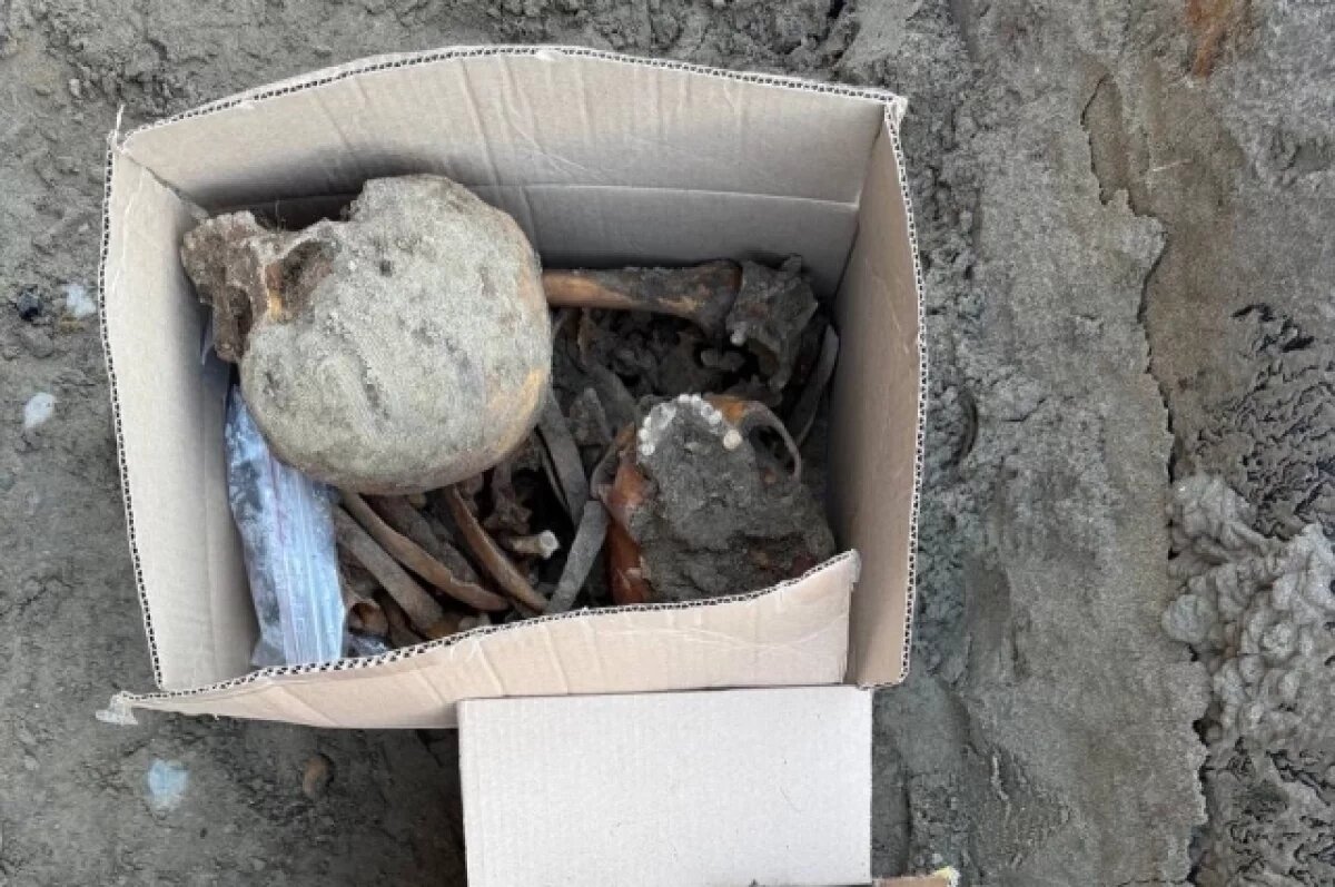    Черепа и кости нашли в историческом центре Красноярска.