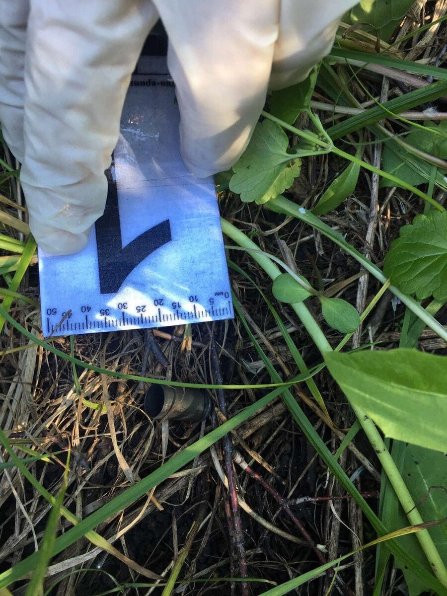    Фото СУ СК РФ по Самарской области