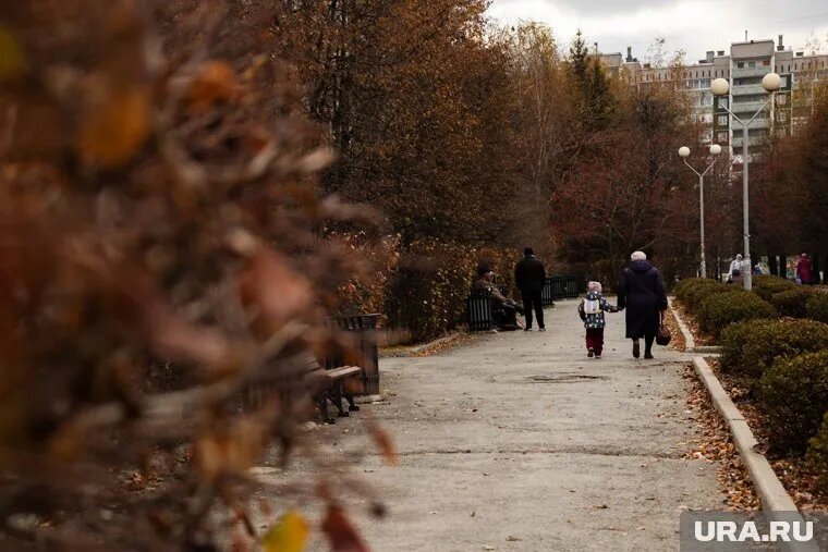 Сентябрьские прогнозы погоды обещают обильные осадки и локальные штормы. Фото: Анастасия Соргина © URA.RU