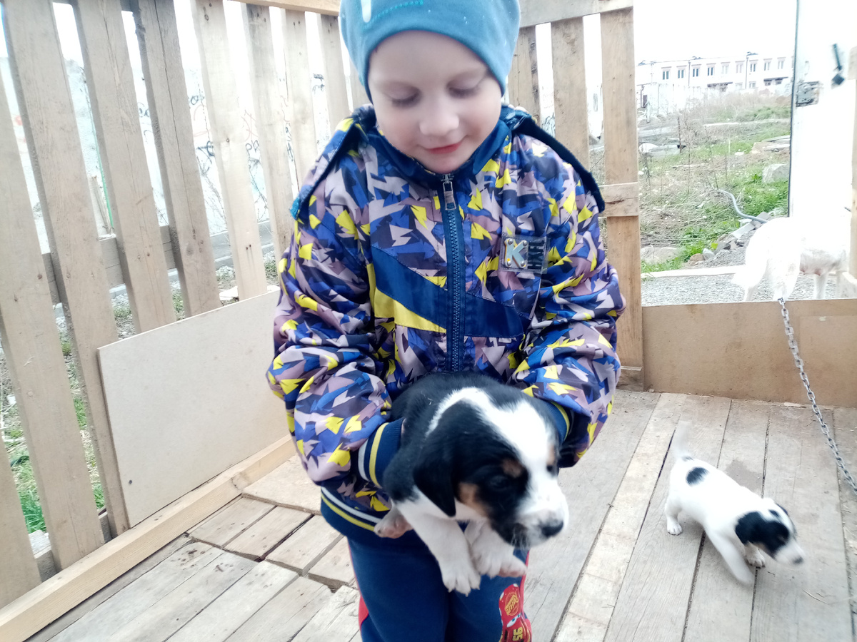 Брат Весты в руках у Витали