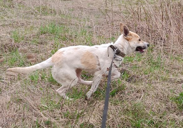 Первые дни в приюте - раздолье!