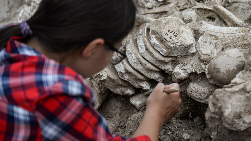    Фото: © РИА Новости/Ульяна Соловьева; 5-tv.ru