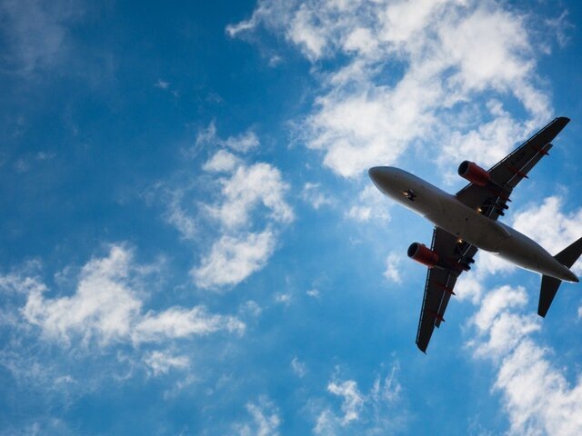    Фото: 123RF/lightpoet