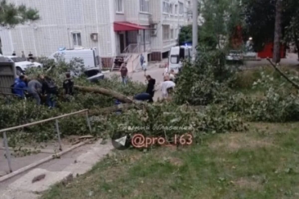    В Тольятти от поваленных ветром деревьев пострадали несколько человек