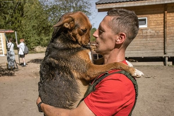 История №1: Пёс, живший на свалке