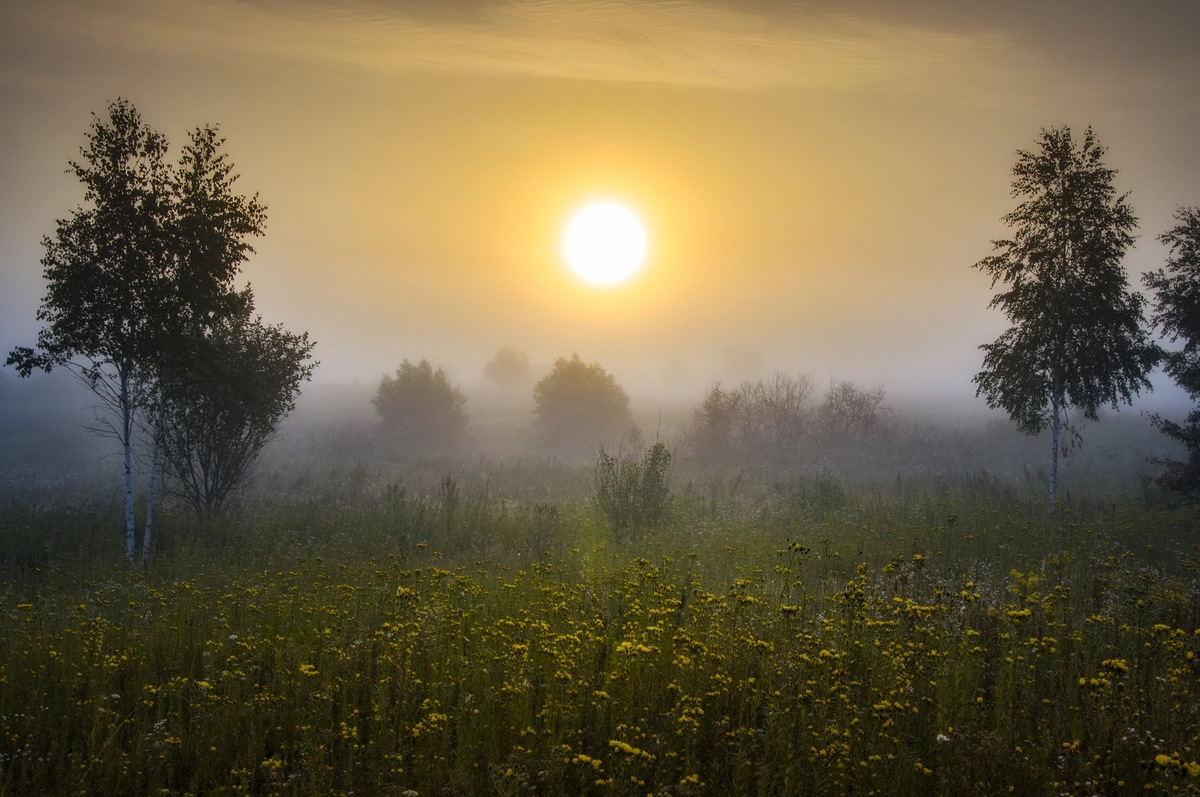 Утро. фото яндекс ))