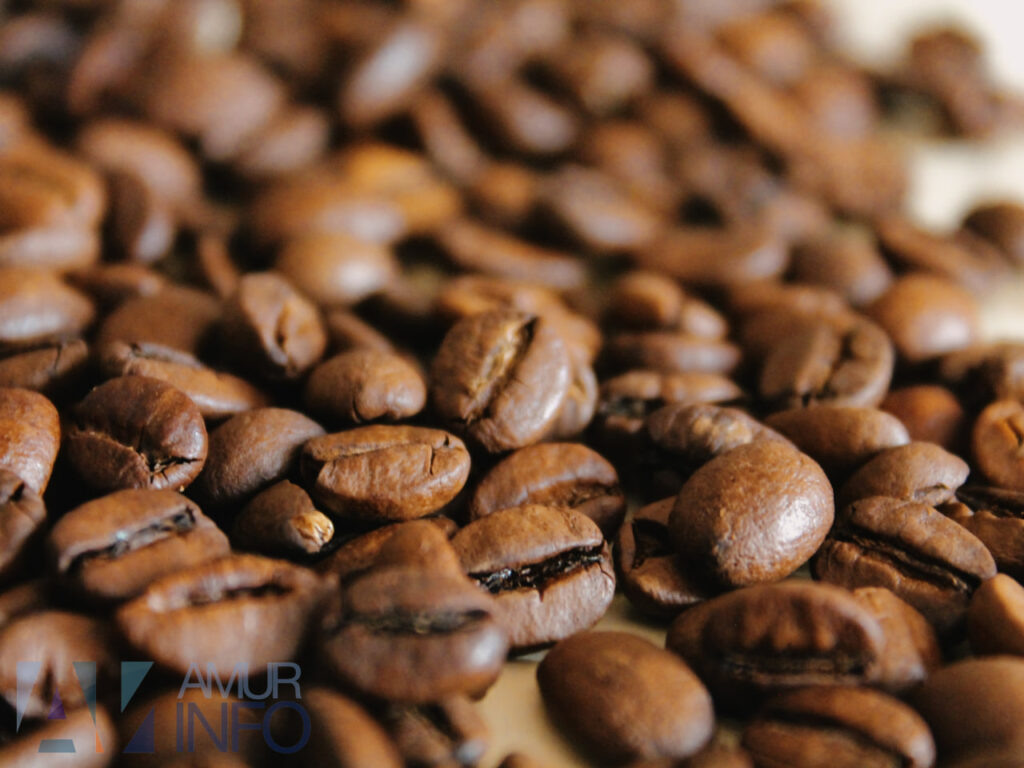    Фото: Амур.инфо