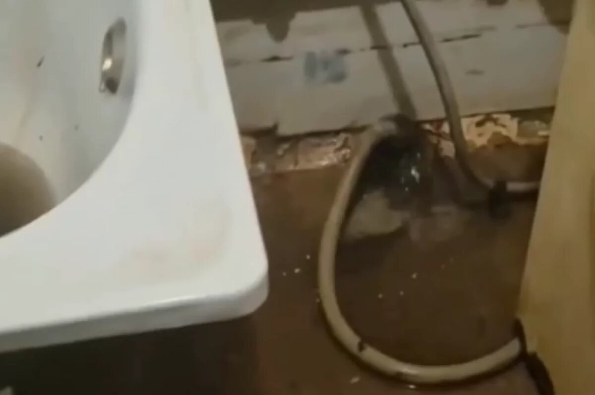    Люди не могут нормально посещать туалет.