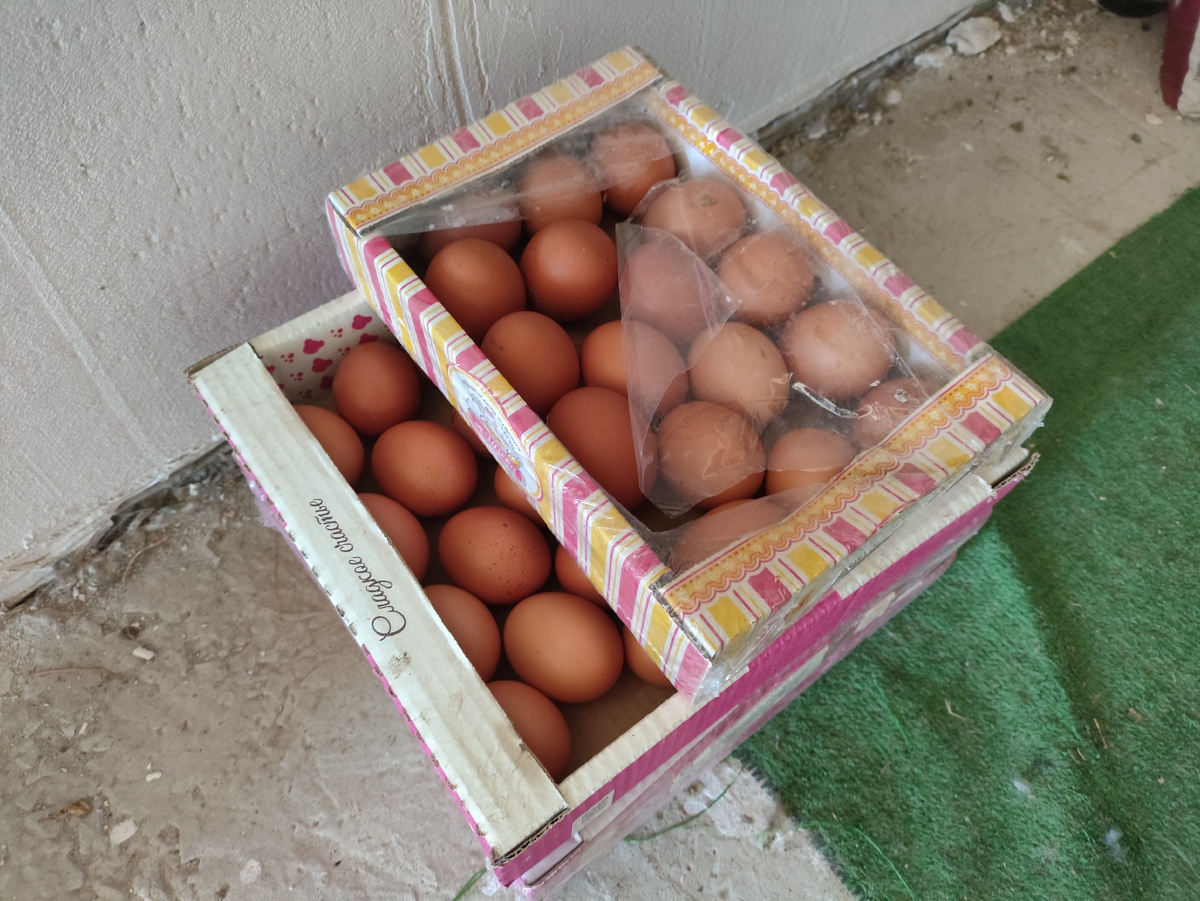 Яички на презент... Тут 4 коробки, 100 штук. Ну чтобы мало не показалось )))