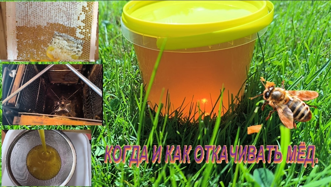 фото из личного архива