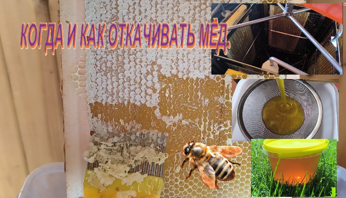 фото из личного архива