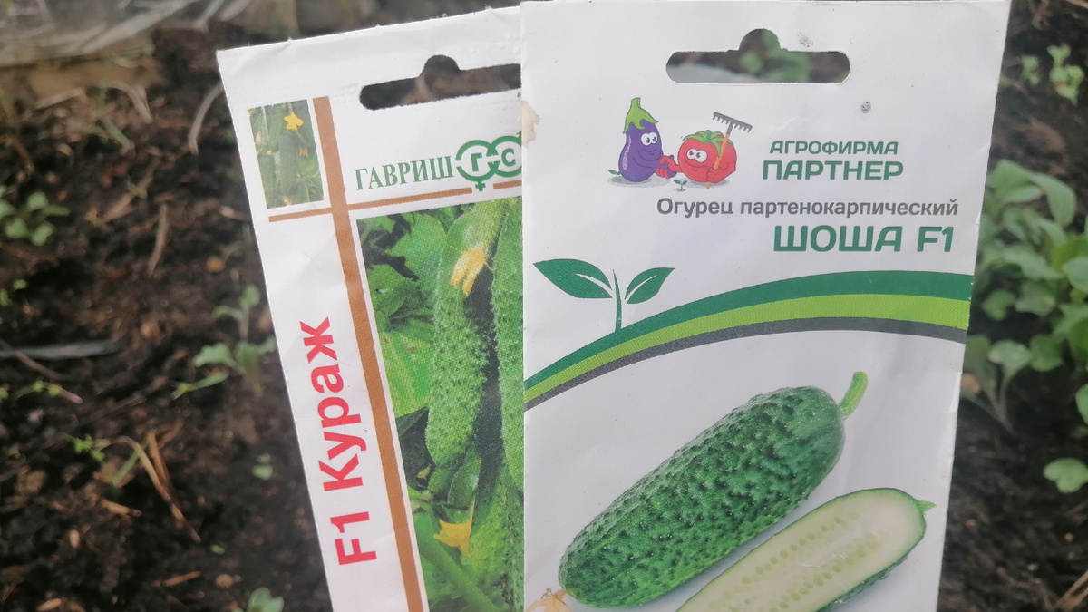 Качественные семена от надежных производителей - основа успешного урожая