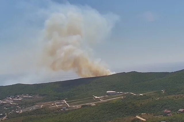    Под Анапой уже сутки тушат крупный лесной пожар: что известно?