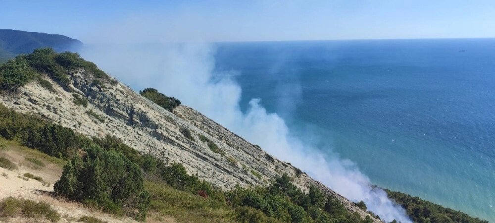    Фото: ГБУ КК "Краевой лесопожарный центр"