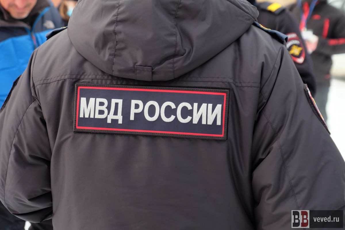     Фото: Владислав Постников / Вечерние ведомости