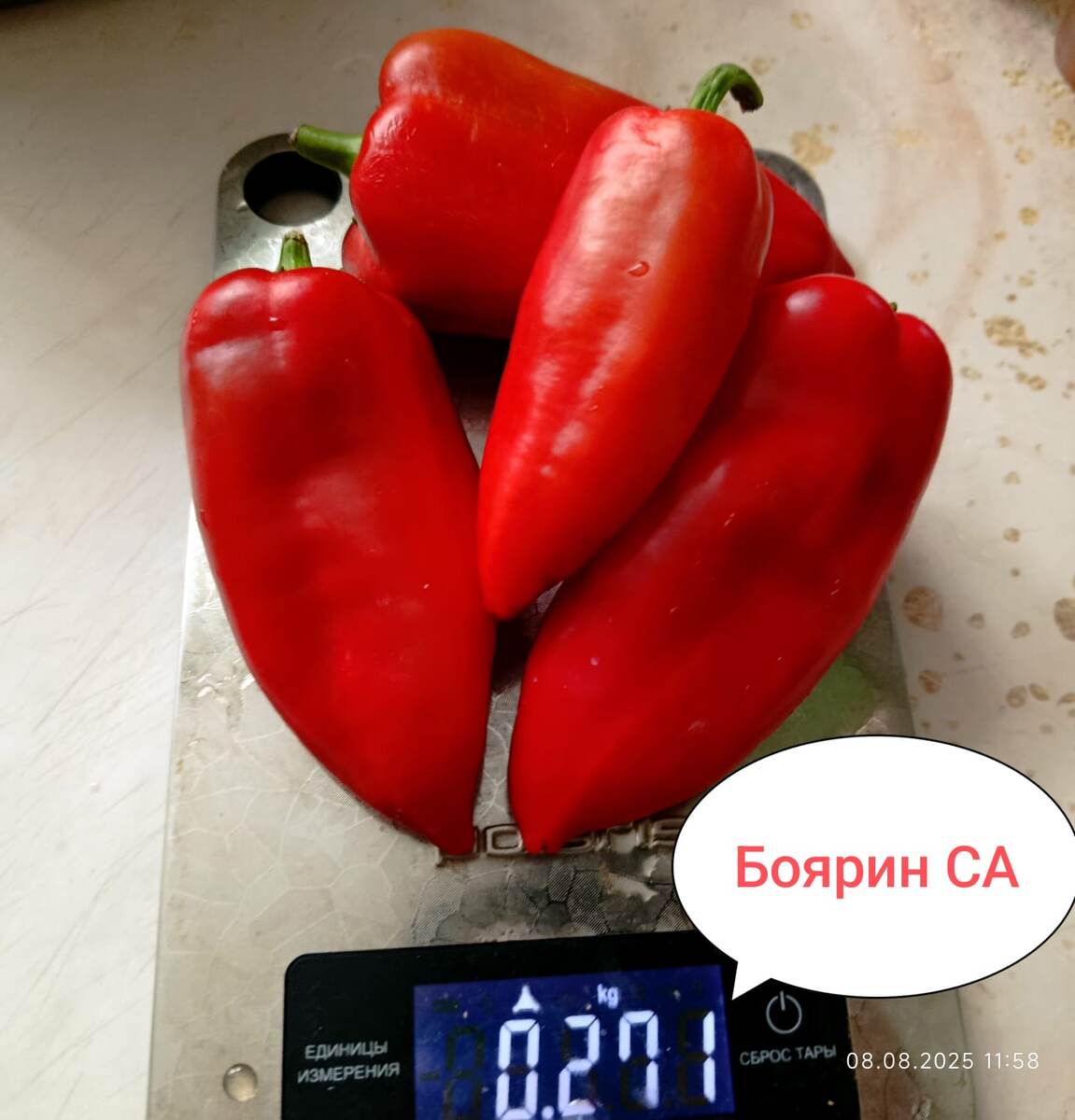 8 августа