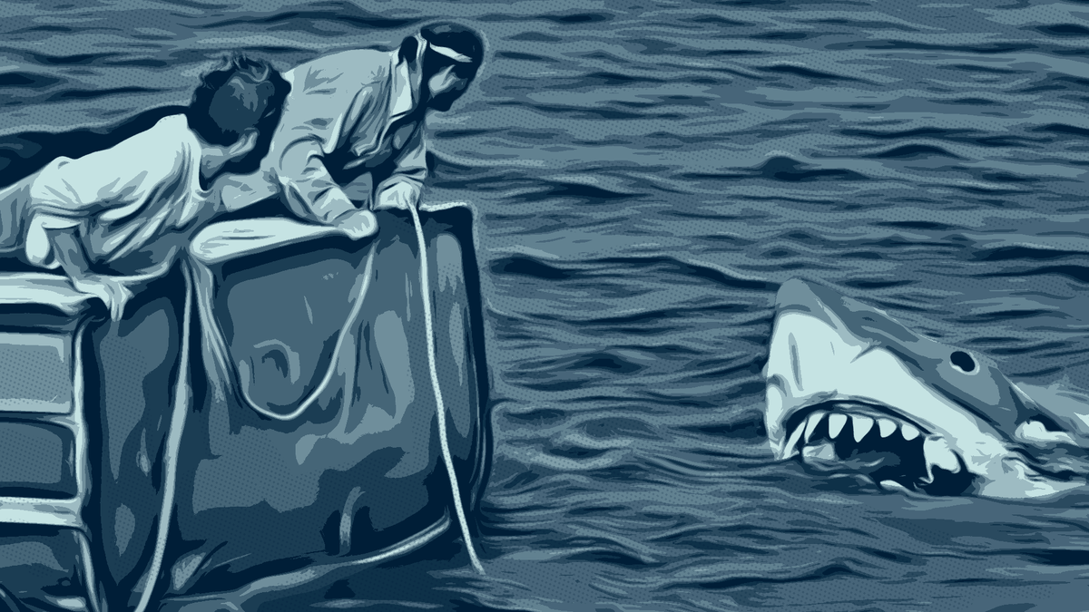 Режиссер назвал акулу «Брюс» в честь своего адвоката Брюса Рамера, который также представлял таких известных людей, как Джордж Клуни, Роберт Земекис и Клинт Иствуд.