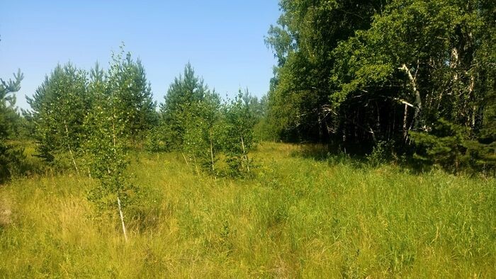    Россельхознадзор