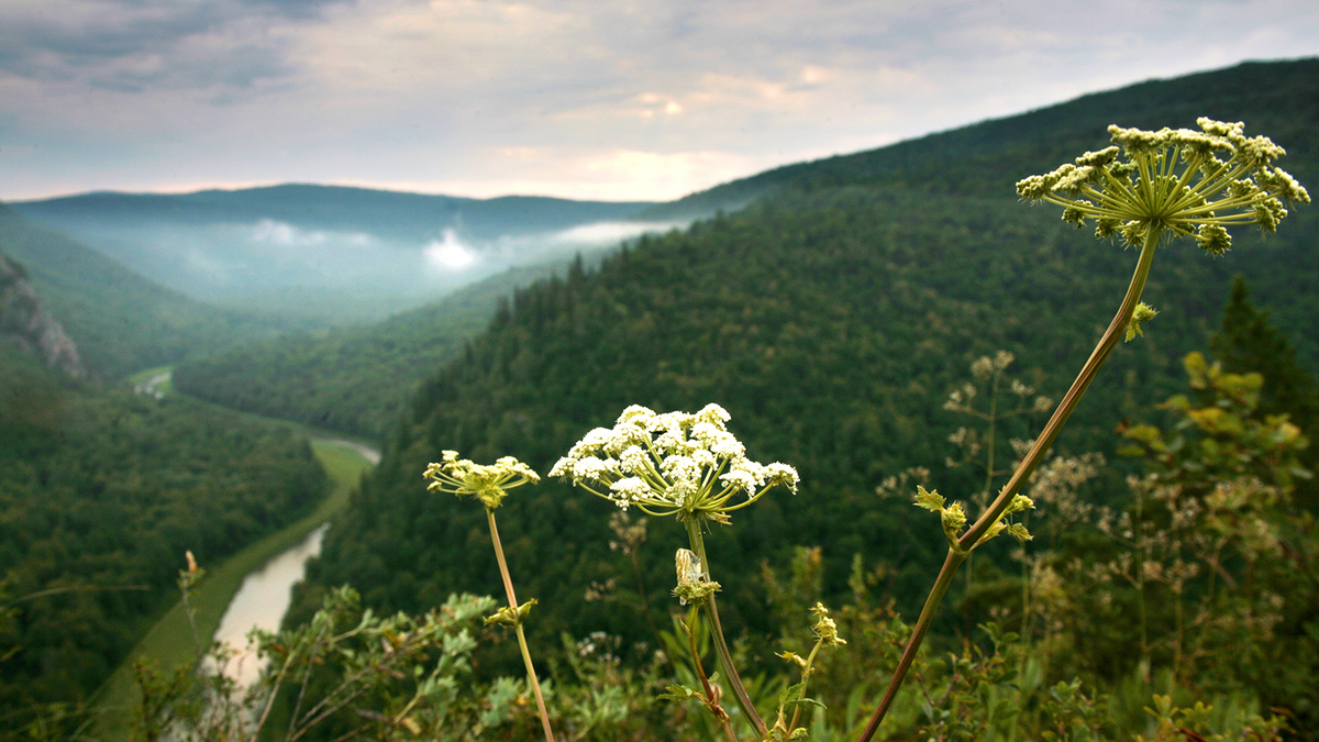 Группа ММК в 2025 году направит на экологию более 10 млрд рублей