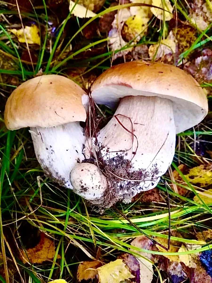 Первая долгожданная находка