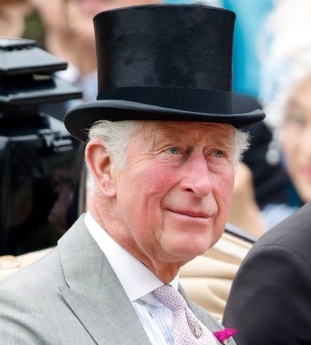 А ведь, правда, не Безумного Шляпника чем - то похож. 😆