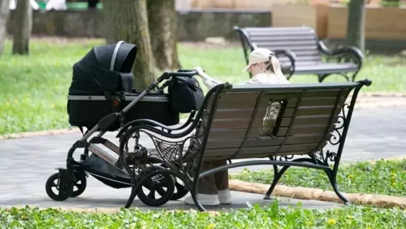      Фото: ИА «Победа26»