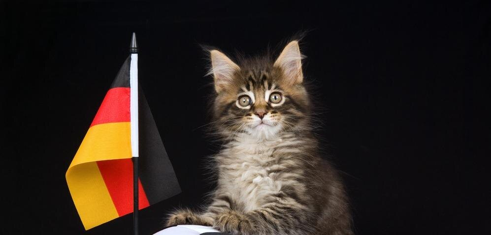 Герр Клаус ценит порядок во всем.