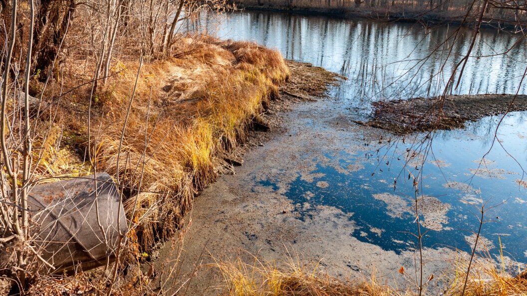    ФОТО: Svetlana Vozmilova/Globallookpress