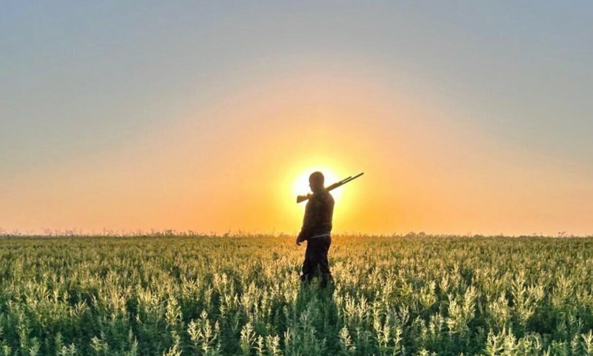    Фото t.me/gbu_kk_krasnodarkraioxota