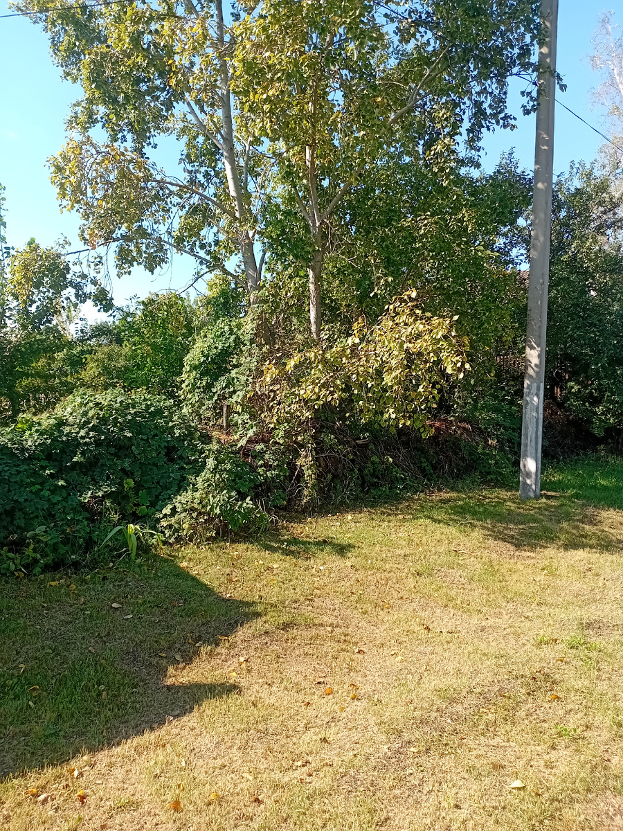 осень..., первые признаки