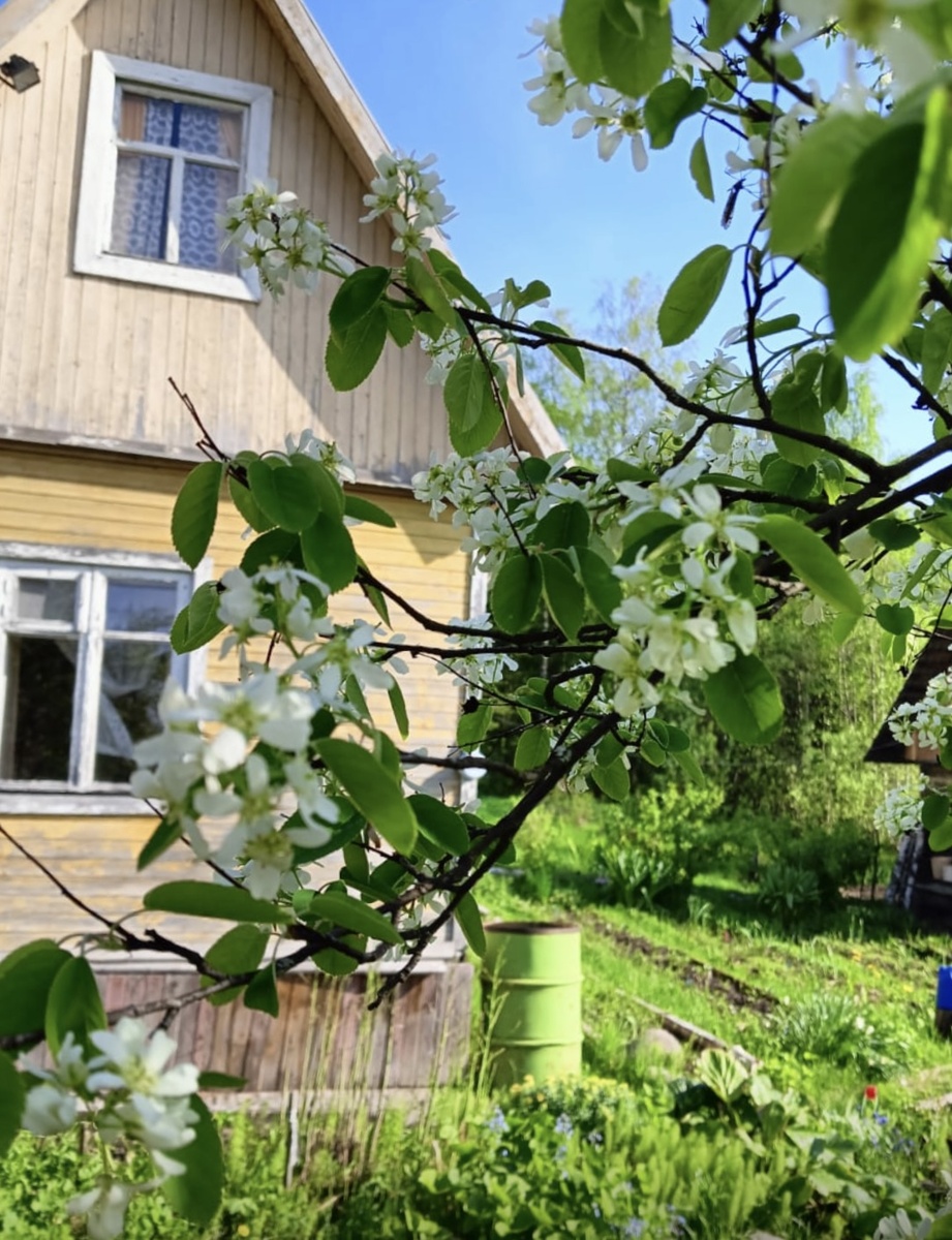 Старенькие домики на 6 сотках тоже иной скрывают настоящие сокровища