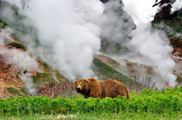 Фото: из открытых источников