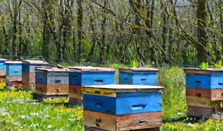    Фото: Лукьянов Дмитрий, AgroXXI.ru