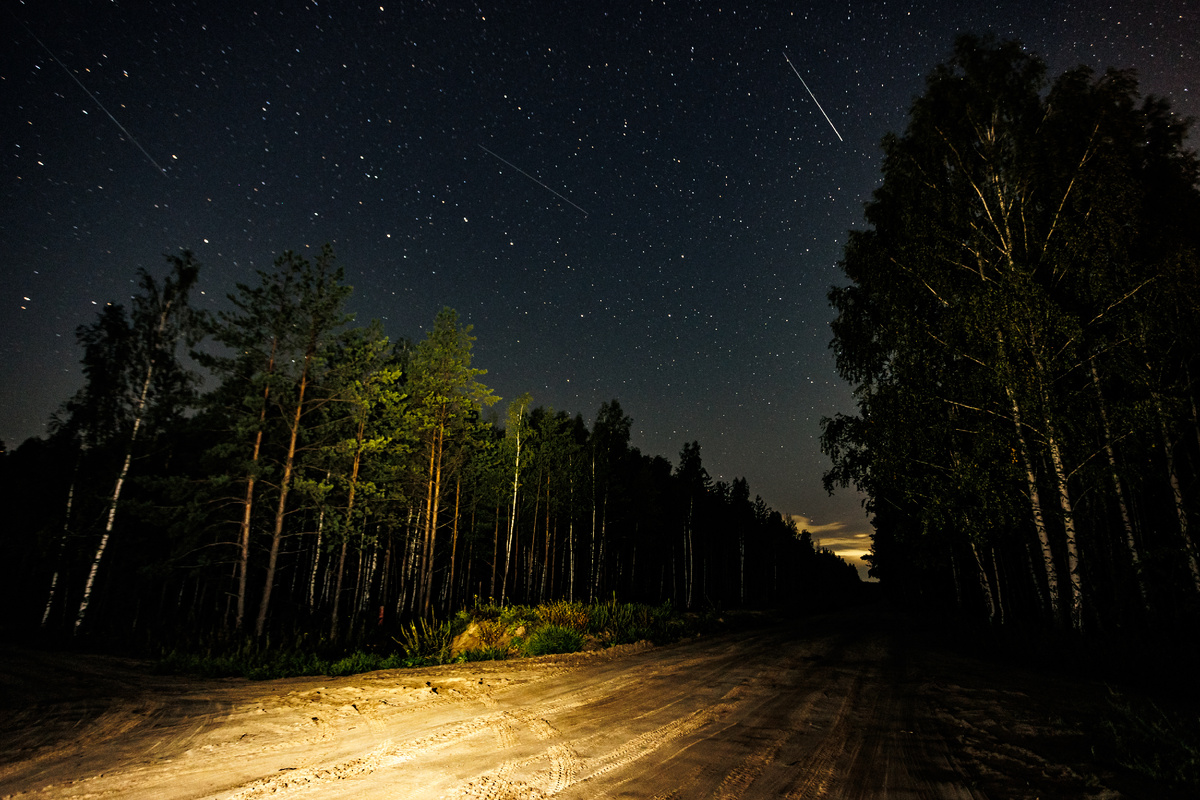 Даже метеор попался в кадр. Деревья подсвечивали фонариком. И Большая медведица