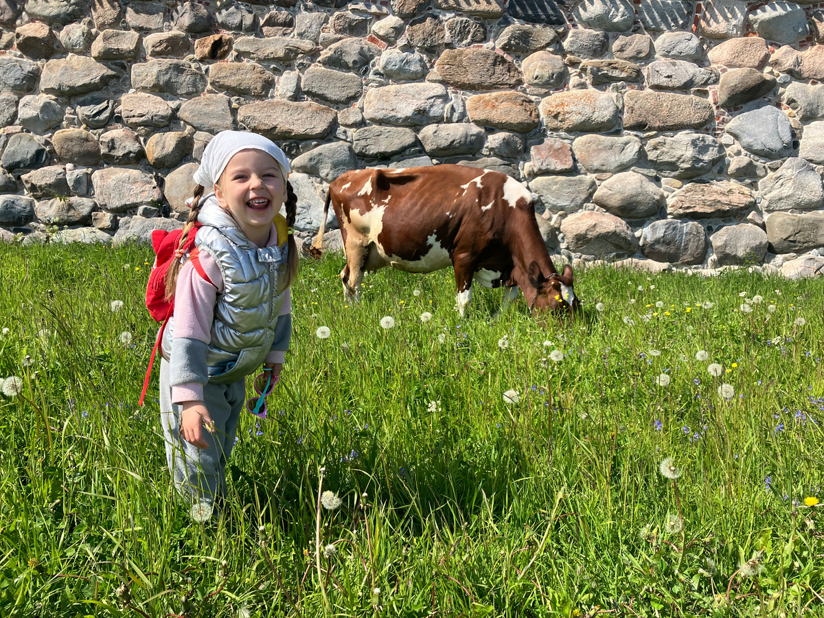 Фото автора. Копирование запрещено. 