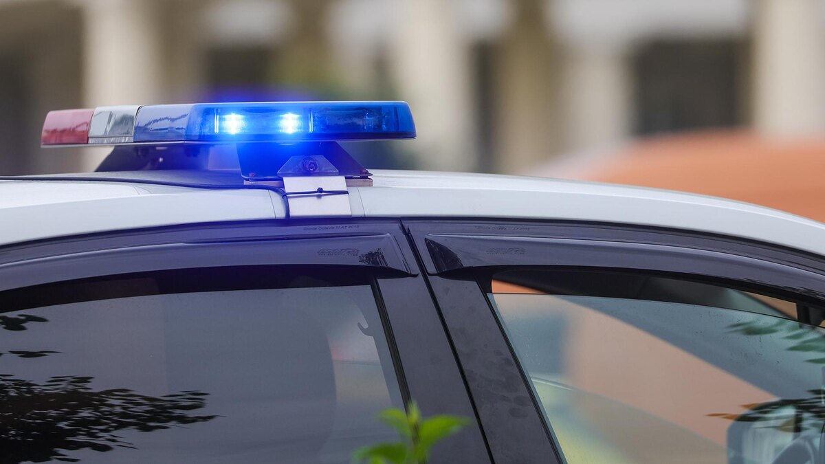    Фото: Shatokhina Natalia/globallookpress.com