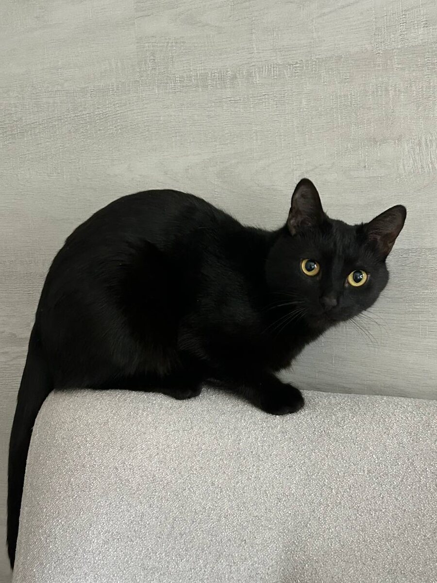    архив samaraonline24