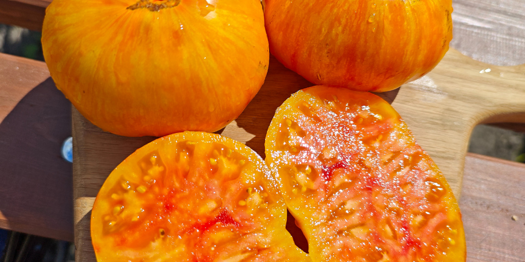 Обзор новых сортов. Сезон 2025