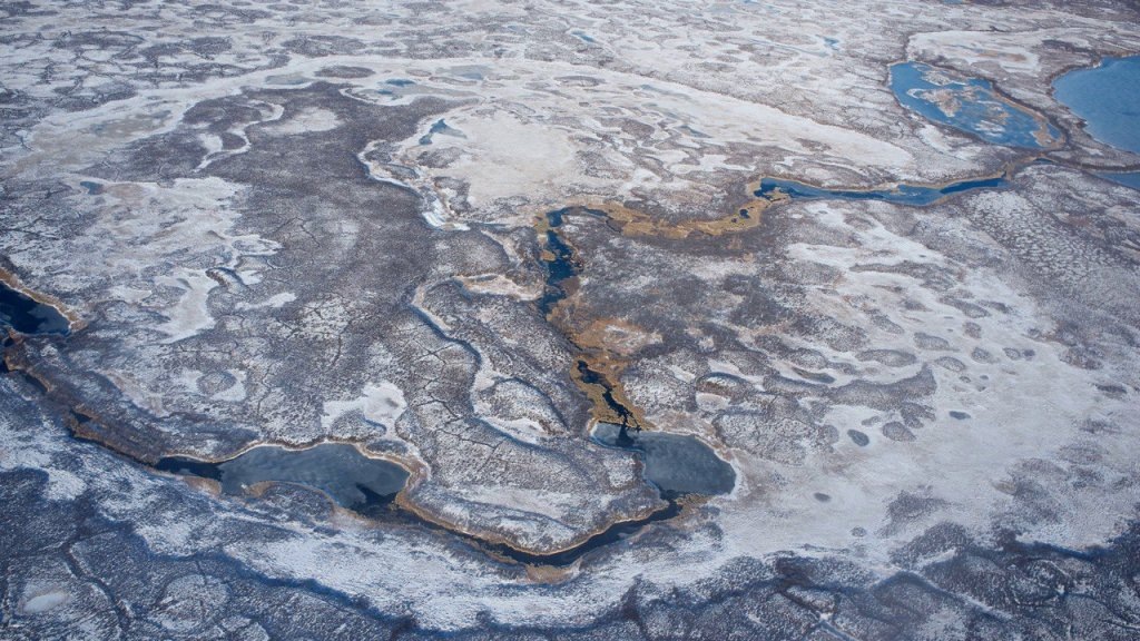    Фото: пресс-служба правительства ЯНАО