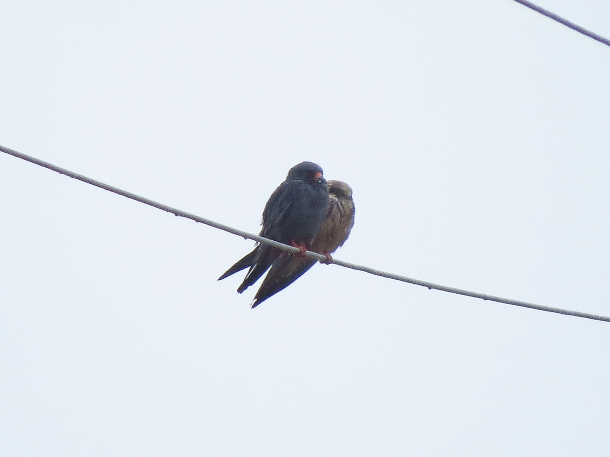 Фото: Евгений Скляр