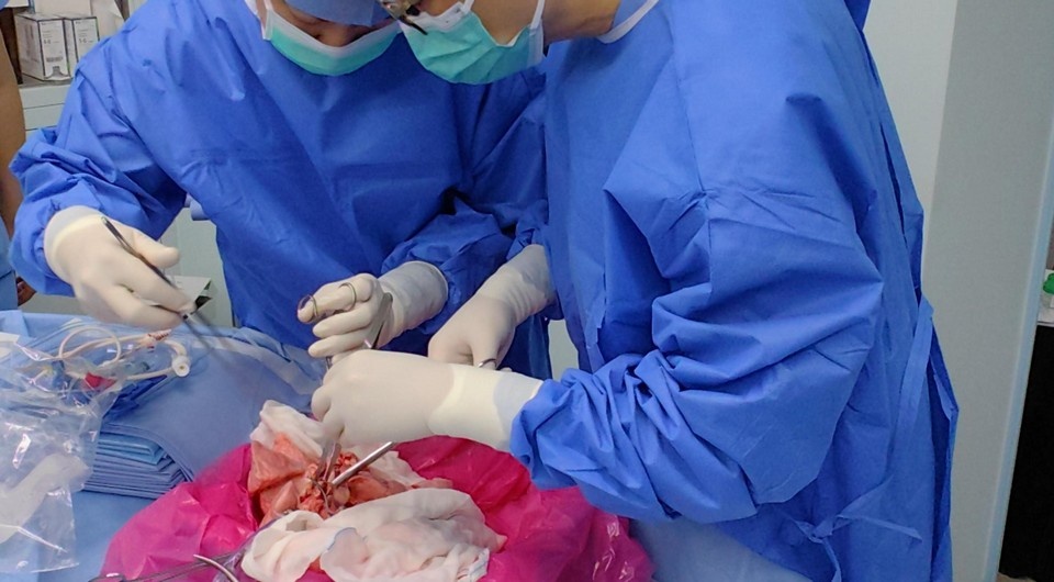   Jianxing He et al. / Nature Medicine, 2025