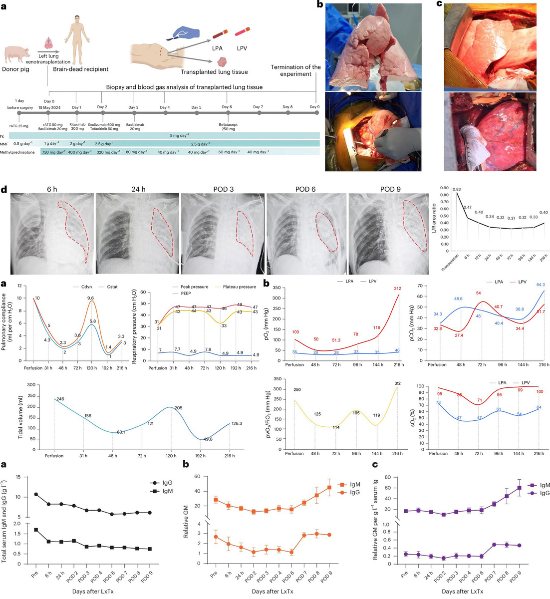   Jianxing He et al. / Nature Medicine, 2025