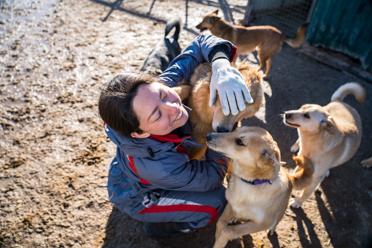 Фото: Александр Плонский / «ВиЖ»