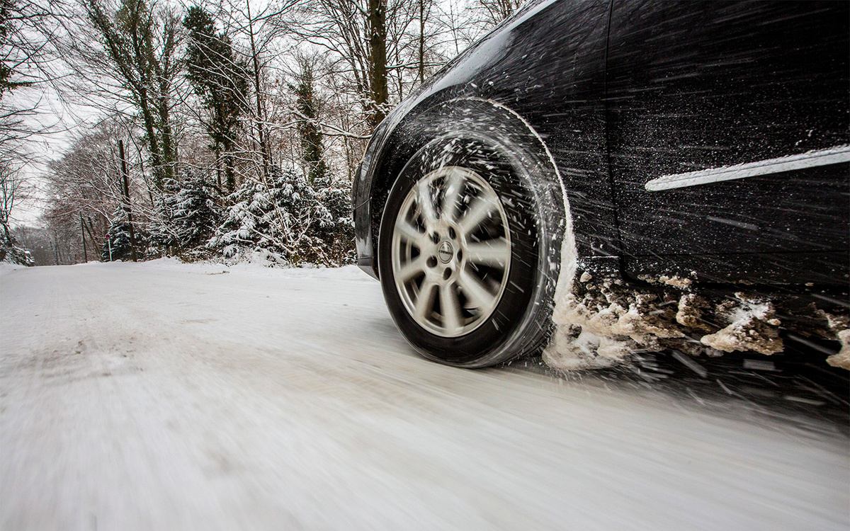    Jochen Tack / Imagebroker / Global Look Press