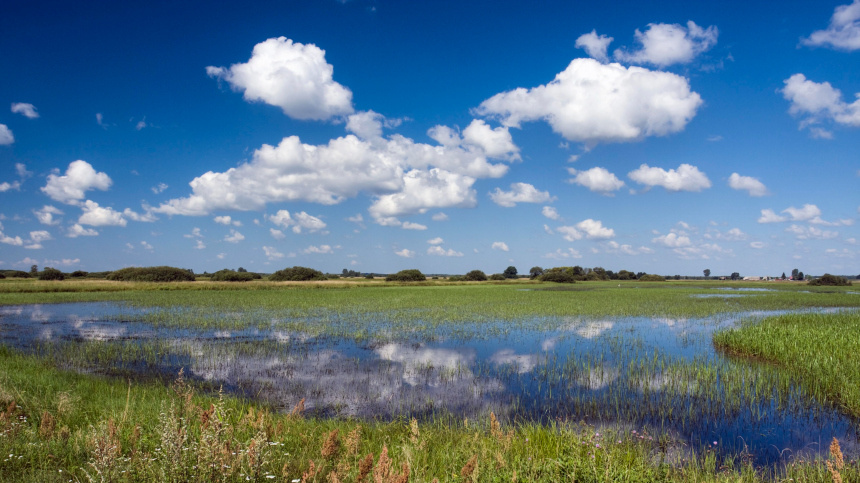    Фото: www.globallookpress.com/Swamp Poland
