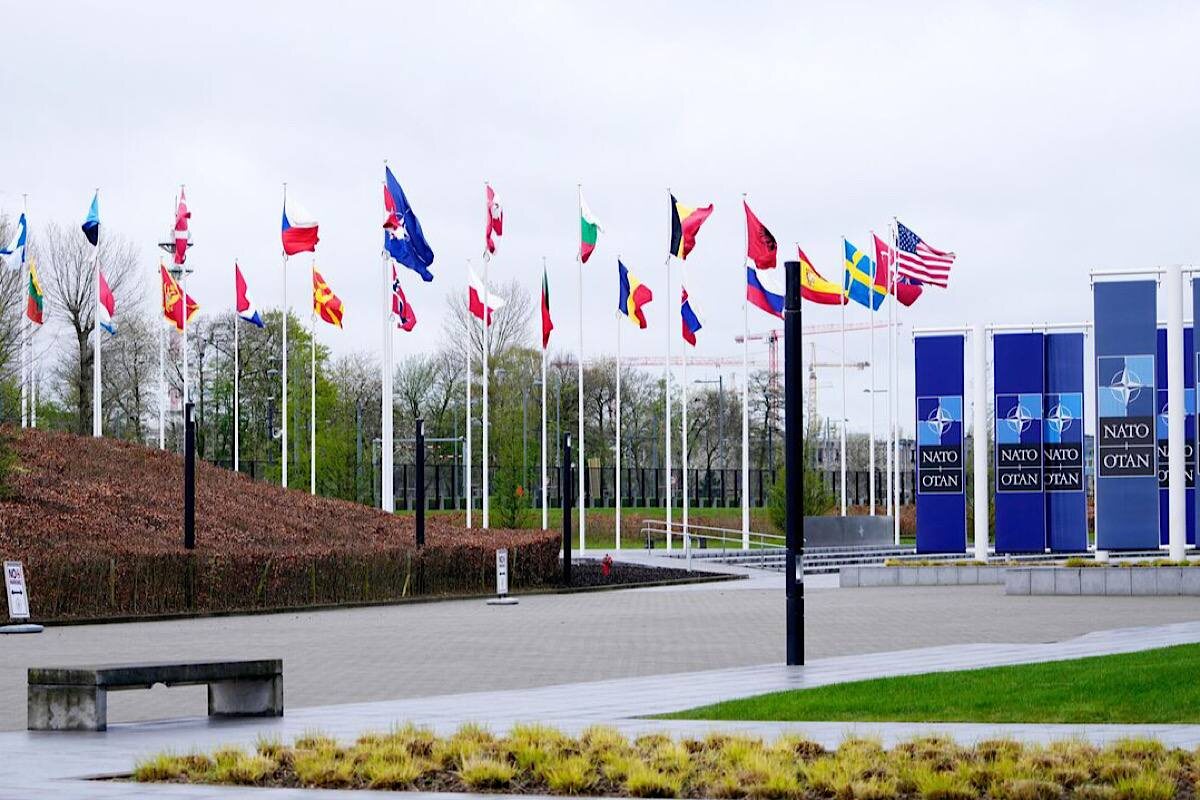    Фото: Virginia Mayo, источник: AP Photo