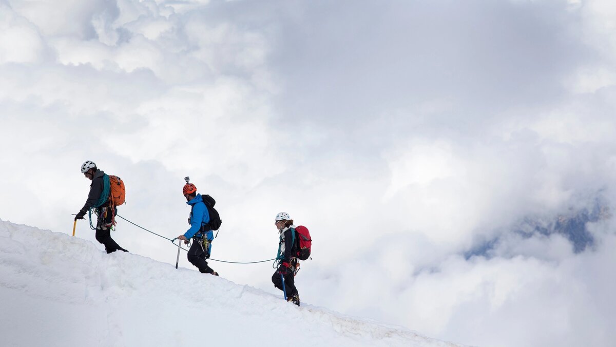   Adobe Stock- Архивное фото