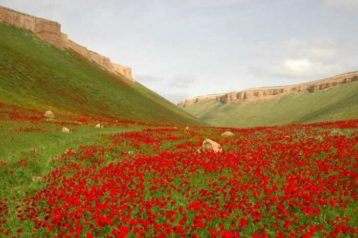 Туркменистан