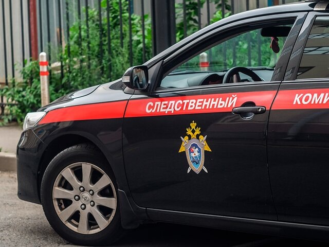    Фото: Москва 24/Анастасия Корнишкина